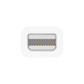 Apple Thunderbolt to FireWire Adapter