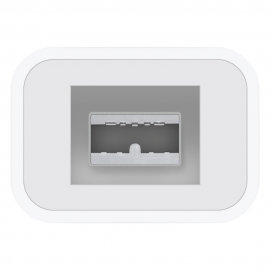 Apple Thunderbolt to FireWire Adapter