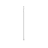 	(Great Eastern) Apple Pencil Pro