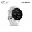 Garmin Forerunner 165 GPS Running Smartwatch - Mist Gray/Whitestone