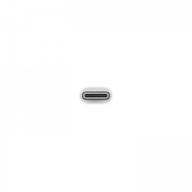 Apple USB-C to USB Adapter