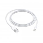 Apple 1m Lightning to USB Cable-ZML