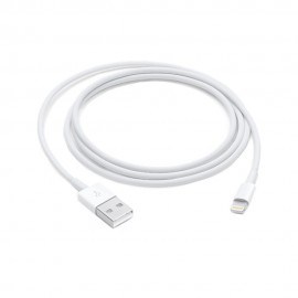 Apple Lightning to USB Cable (1m)