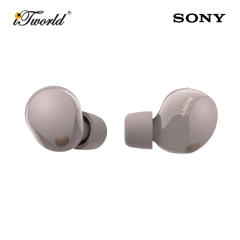 Sony WF1000XM5/PCE Pink Noise Earbuds 4548736163638