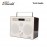 Tivoli SongBook MAX (Cream & Brown)-85002250647
