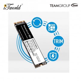 Team Group MS30 M.2 2280 256GB SATA III TLC Internal Solid State Drive (SSD) TM8PS7256G0C101 