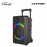 Vinnfier Tango 600 WMV Portable Trolley Wireless Speaker with Dual Mic 9555 6372...
