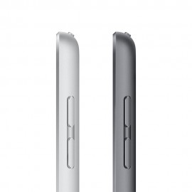 Apple iPad 10.2-inch 9th Gen Wi-Fi + Cellular 64GB - Space Grey