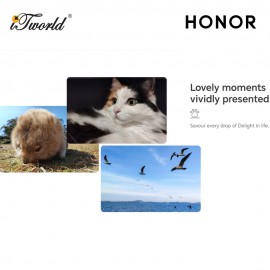 Honor X7B (8+8/256GB) - Silver